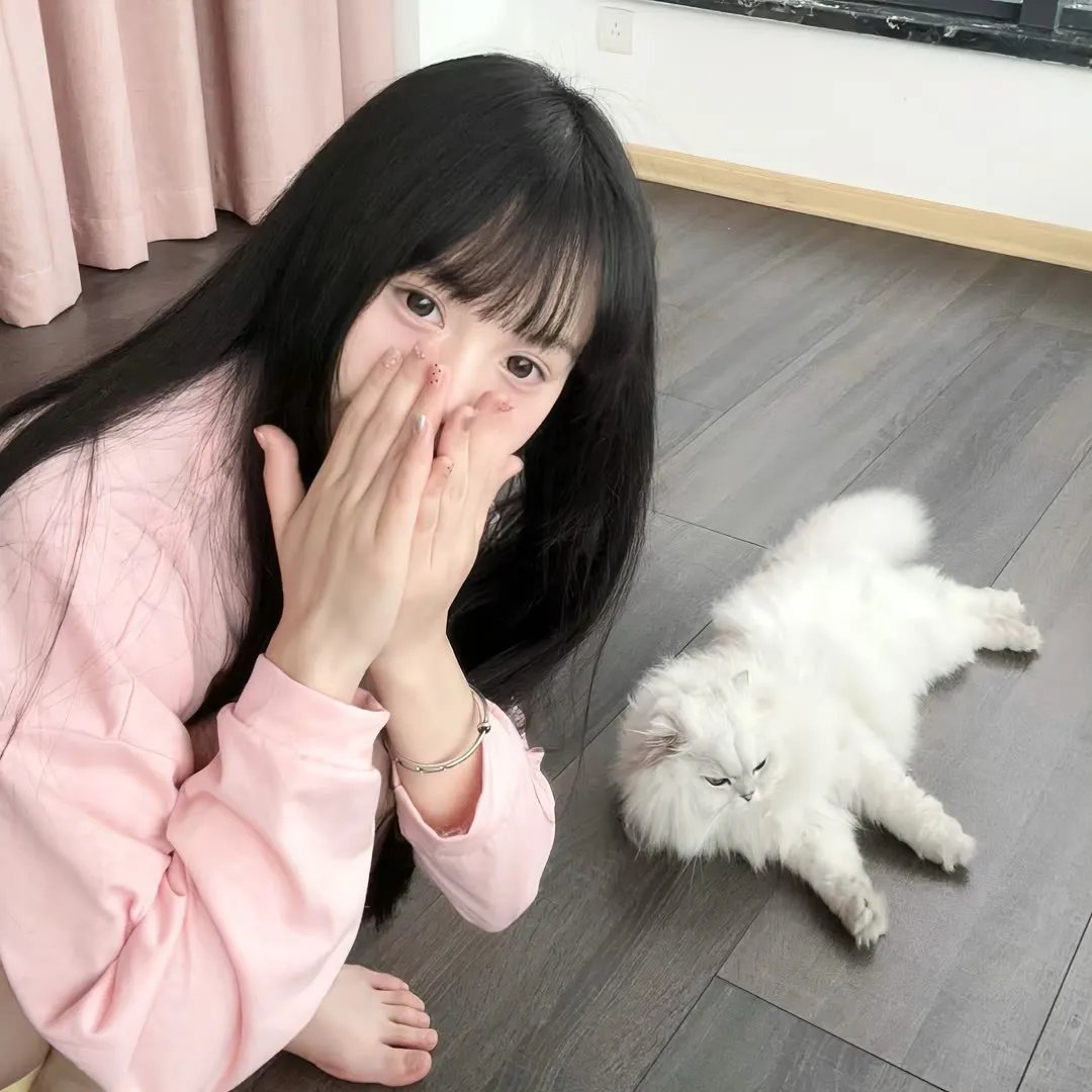 麒麟之翼