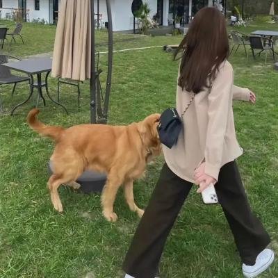 完美的救赎